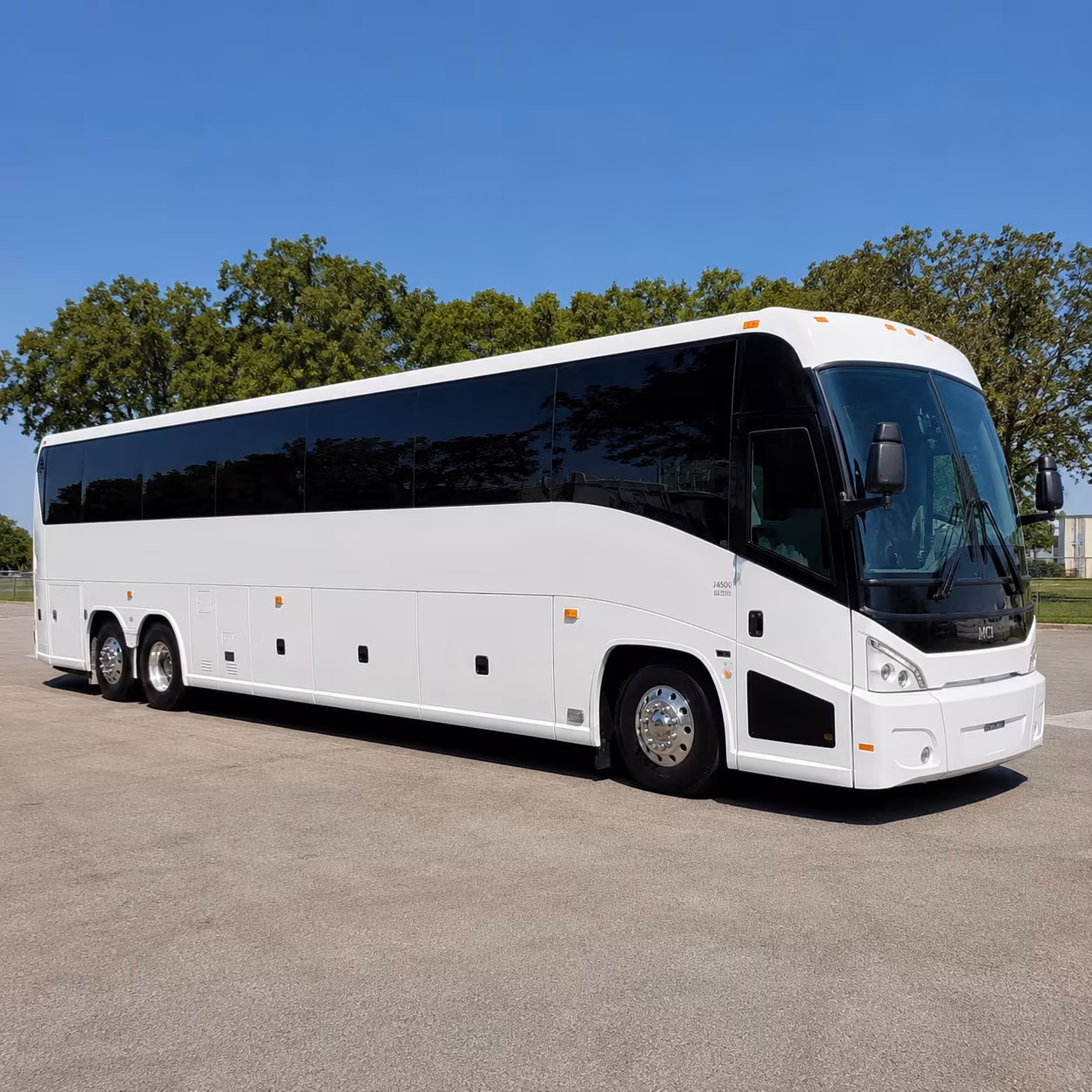 youth group trips to busch gardens virginia beach and beyond